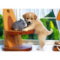 демо статья с дополнительными изображениями демо статья с дополнительными изображениями